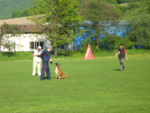 www.atibox.net * www.euroboxer.eu * www.boxergenealogia.eu